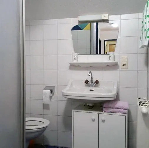 Buschhausl 필즈모스